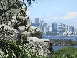 Skyline Sydney.JPG